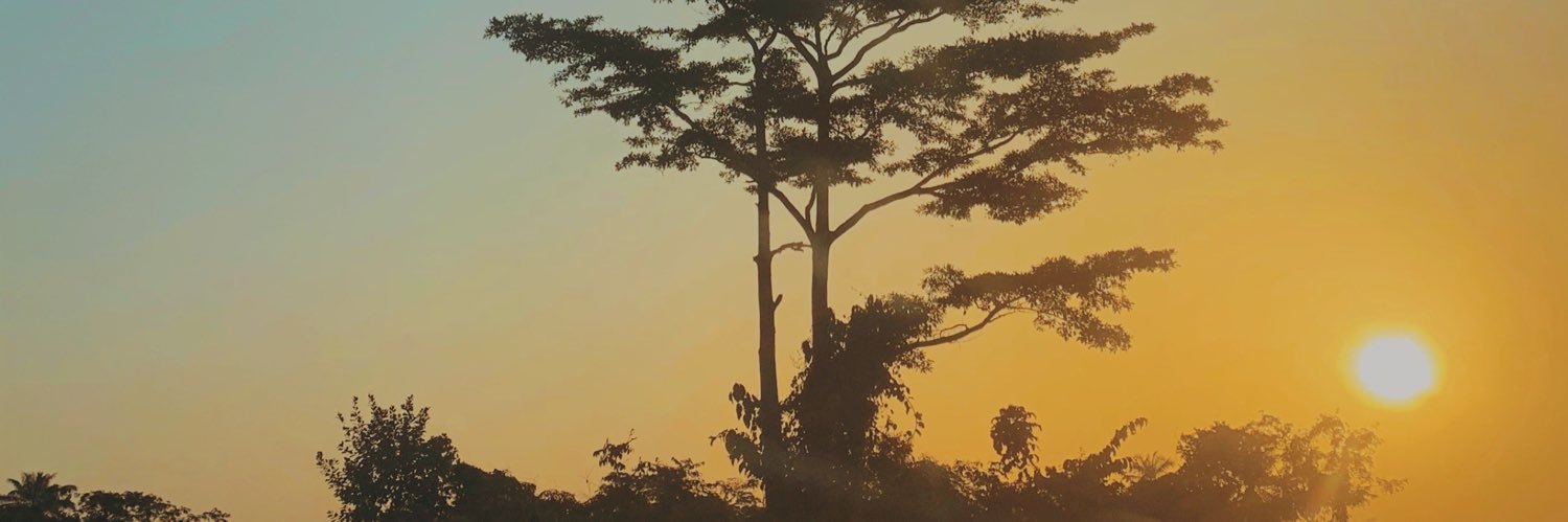 ElieLoua's profile banner image