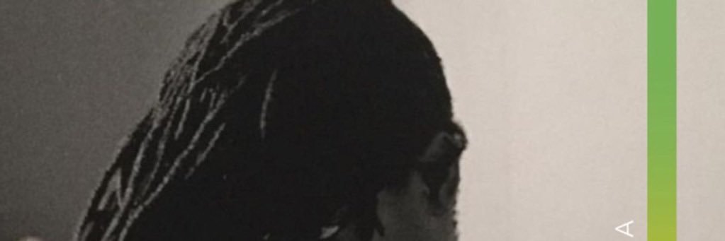 Princess Erika banner