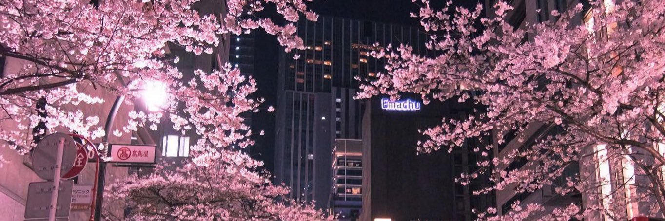 spxctr's profile banner image