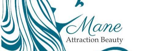 ManeAttraction_'s profile banner image