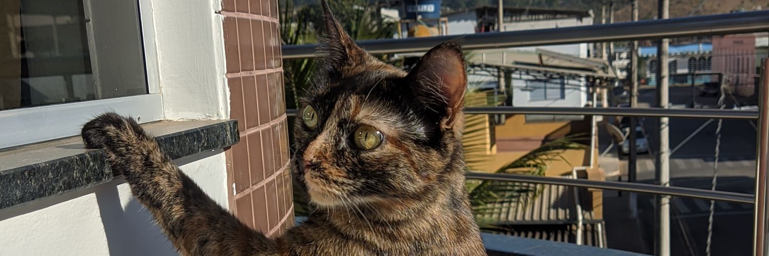 Fernando Augusto banner