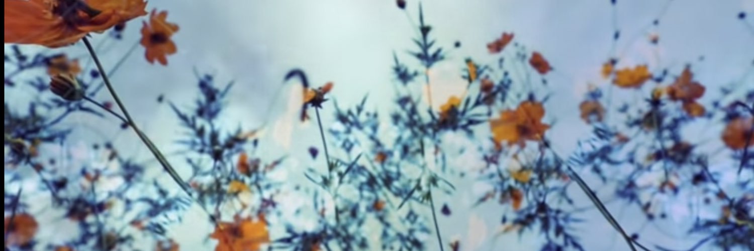 ynyny17's profile banner image