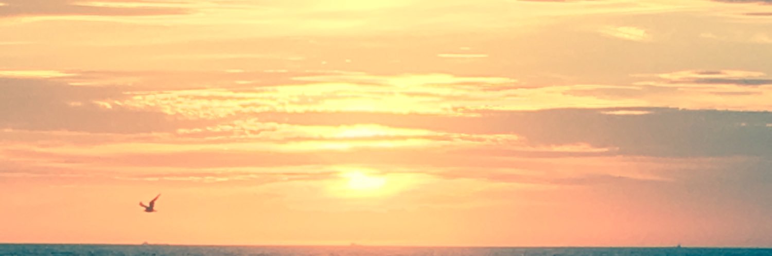 Carter Brown banner