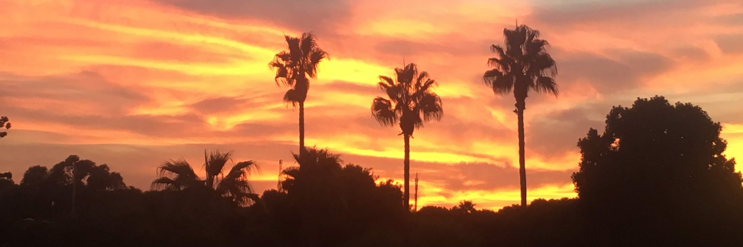 Lauren Horwood banner