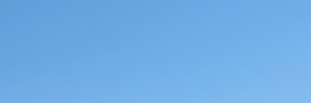 dora____dora___'s profile banner image