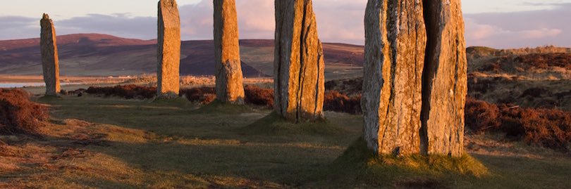 bookishcousin's profile banner image