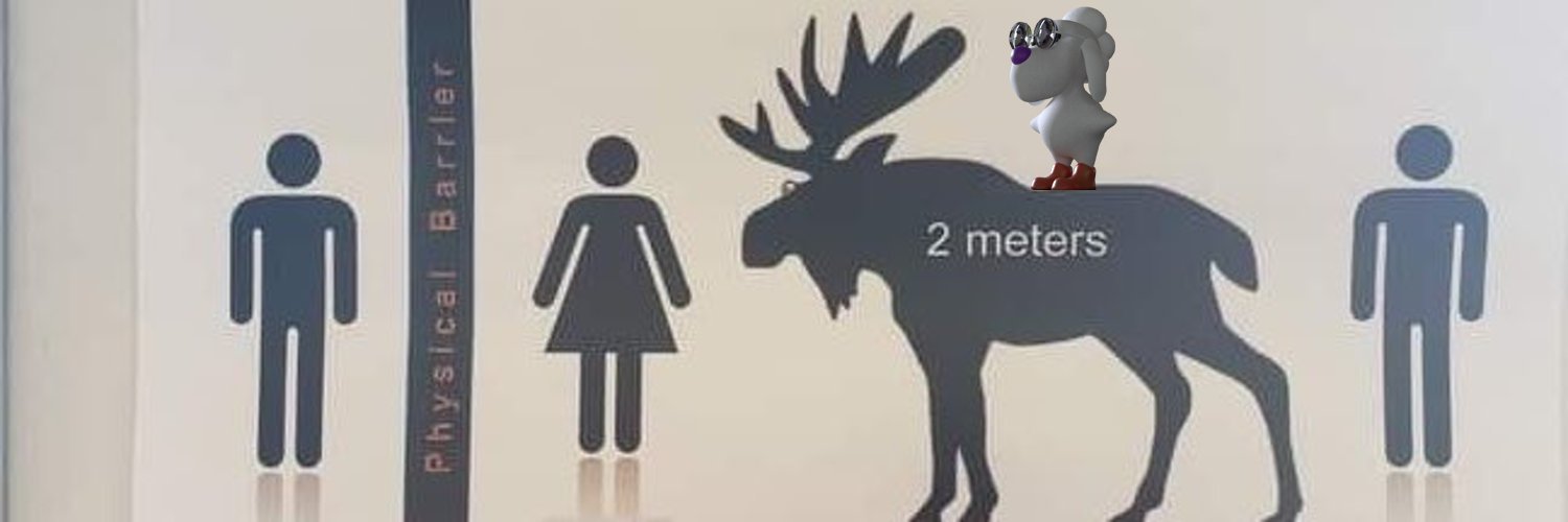 Oversized Moose With Socks (xlmoose.eth)'s banner