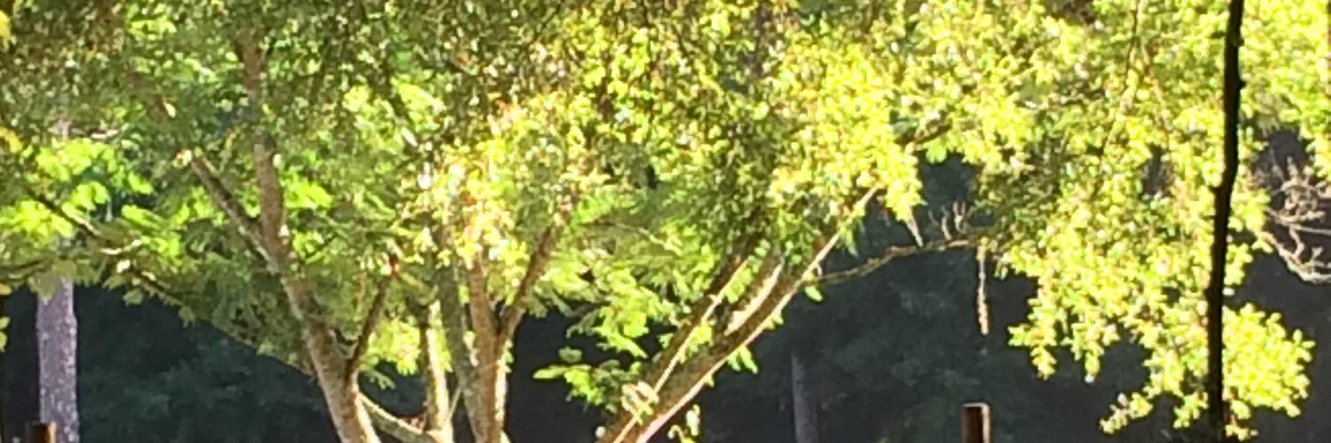 leaclark1's profile banner image