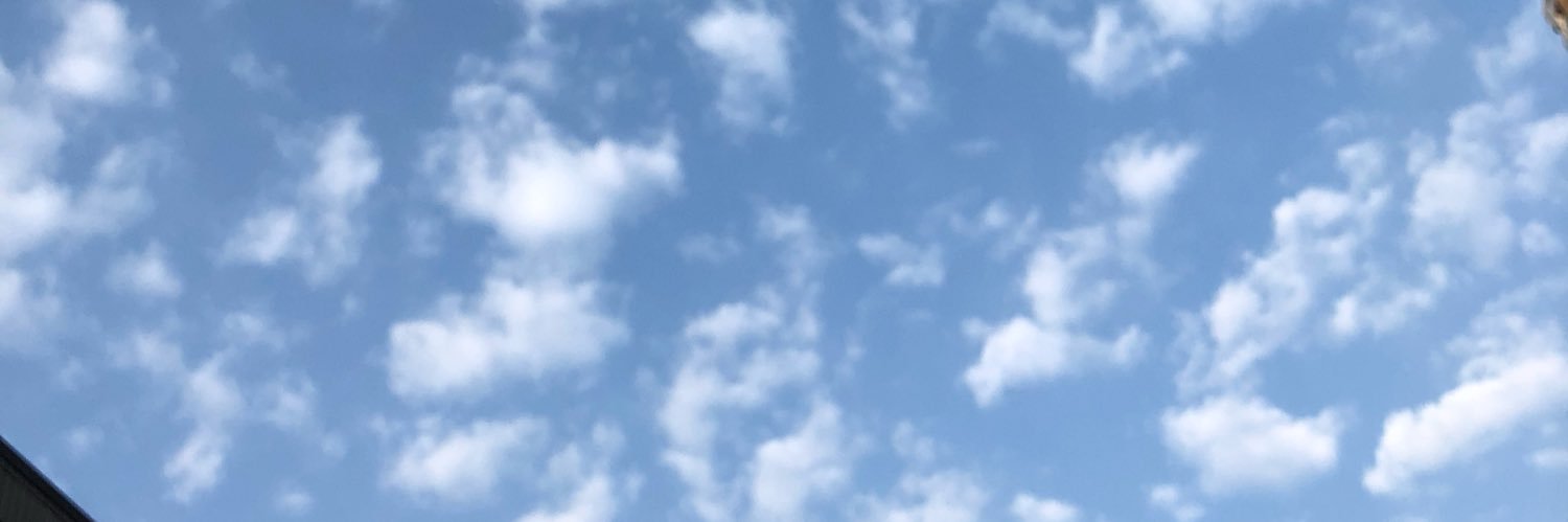 mo_tori's profile banner image