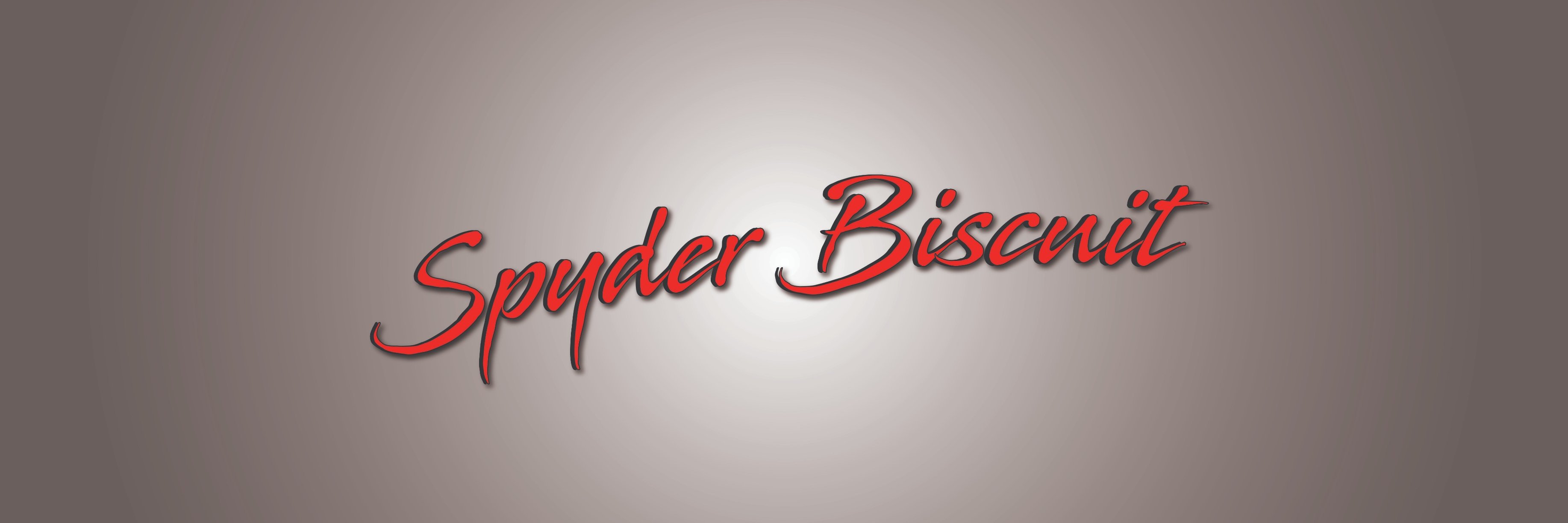 SpyderBiscuit banner