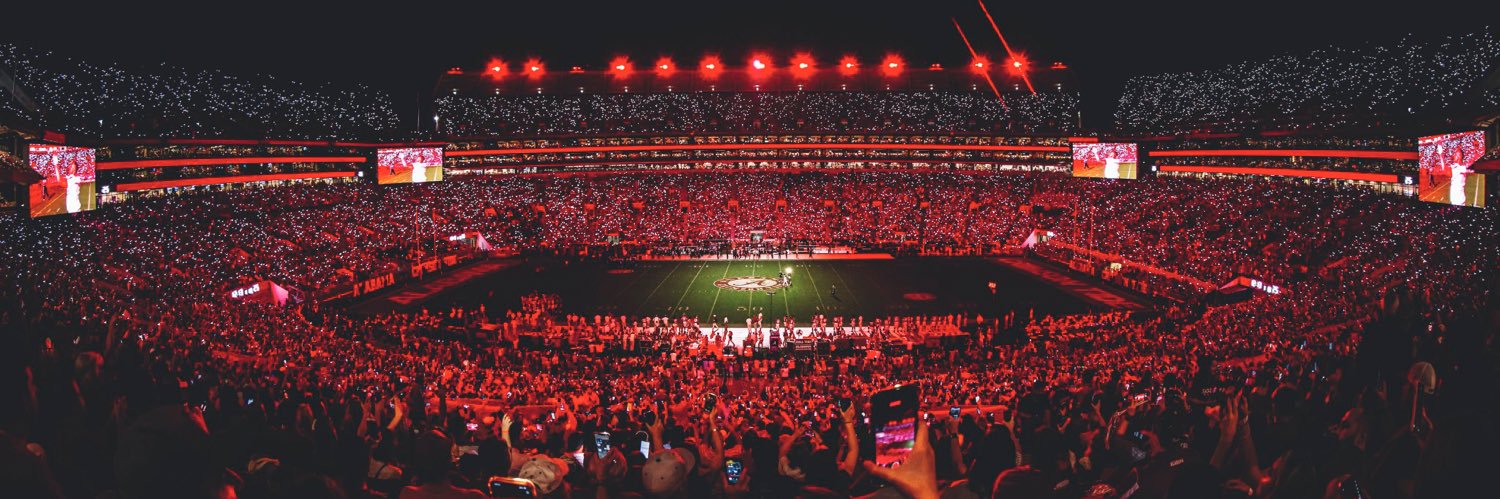 lion king 🦁👑 banner