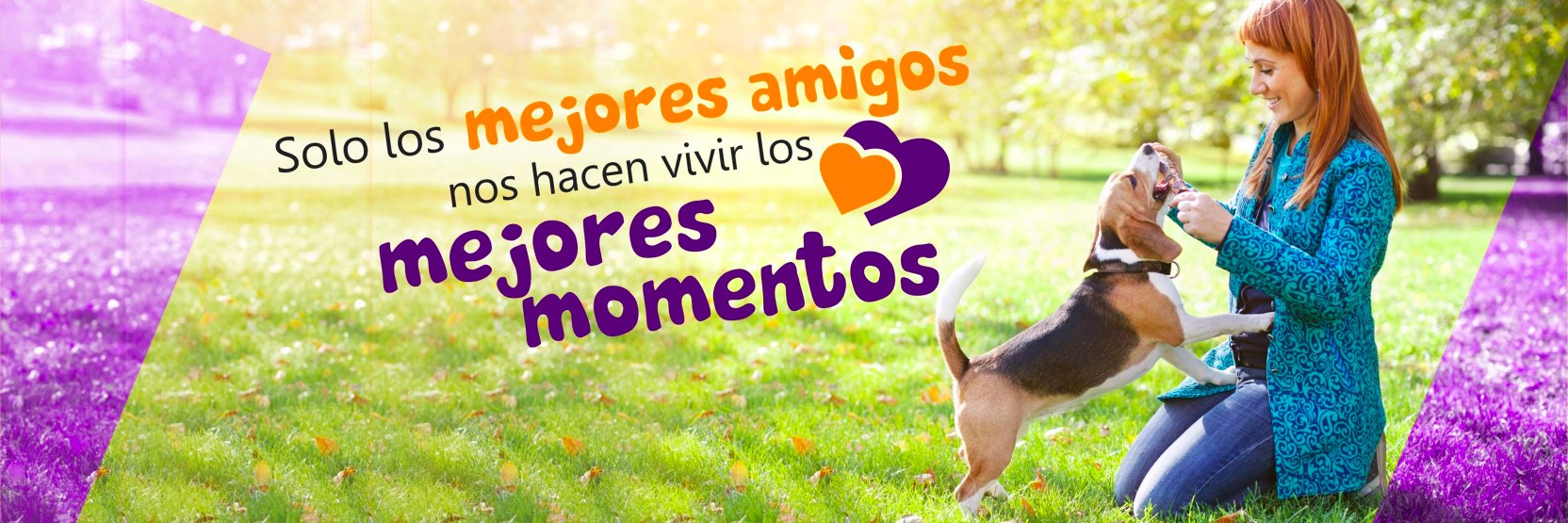Vetplace_Peru's profile banner image
