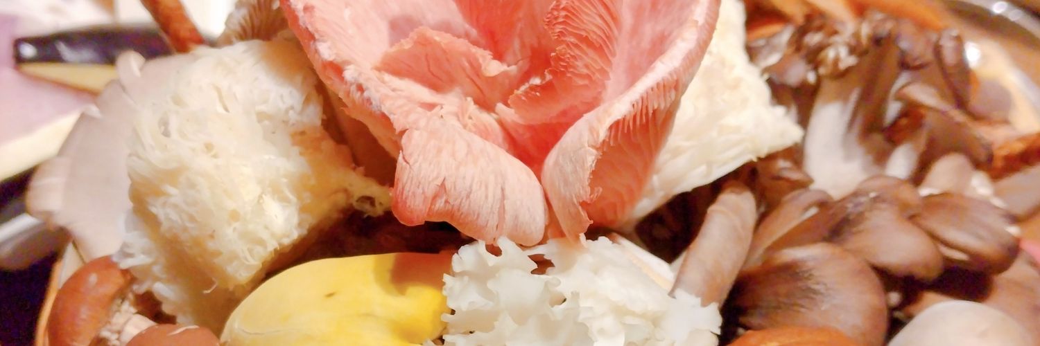 emamodone's profile banner image