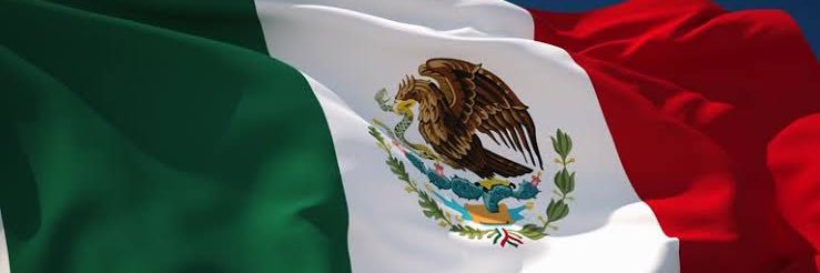 Ana Rosa Payán C. banner