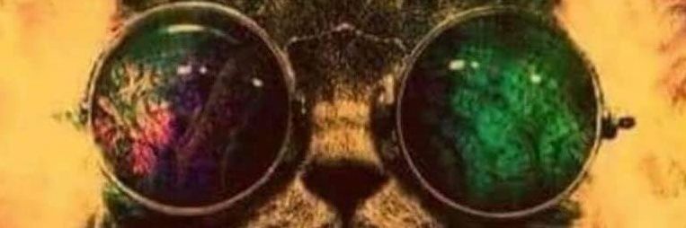 ghor's profile banner image