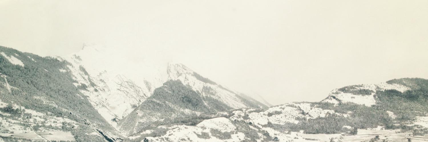 franzhoffman's profile banner image