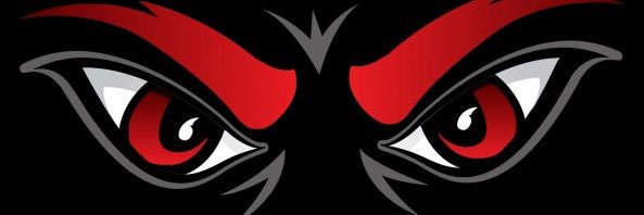 Bearcat Fanatics banner