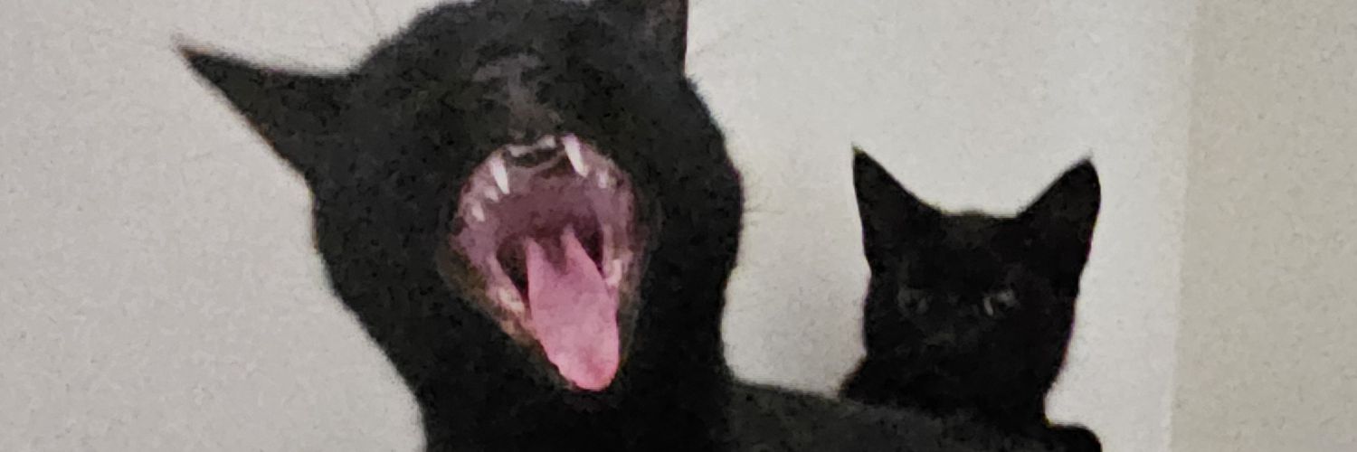 Porridge Drawers 🏴󠁧󠁢󠁳󠁣󠁴󠁿 banner