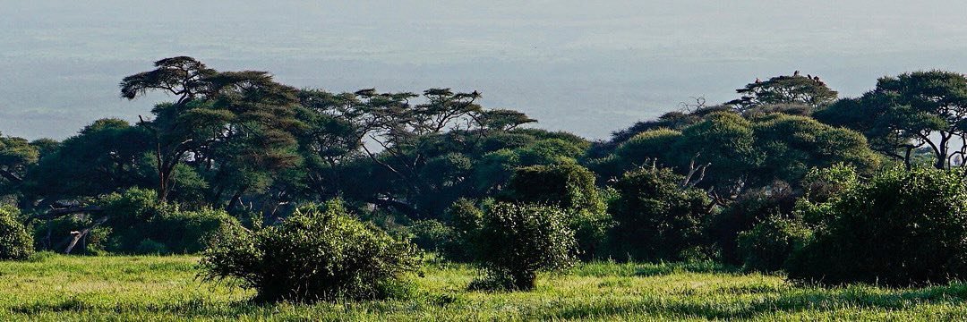 pbarasa5's profile banner image
