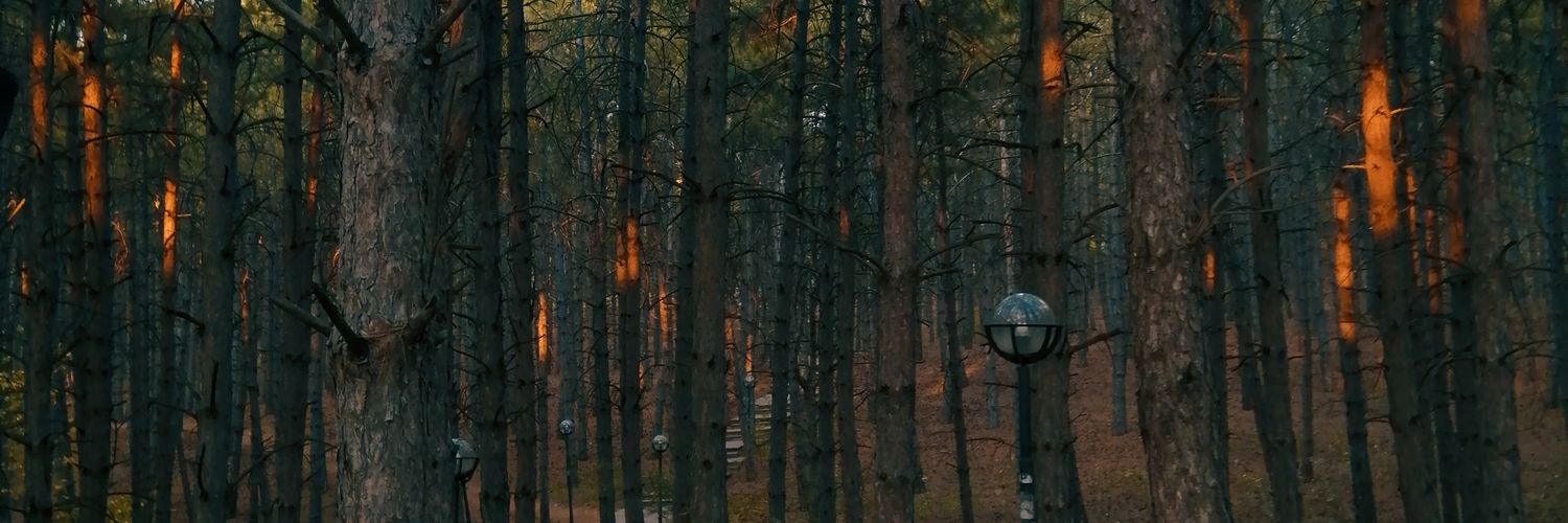 nigarovaa's profile banner image