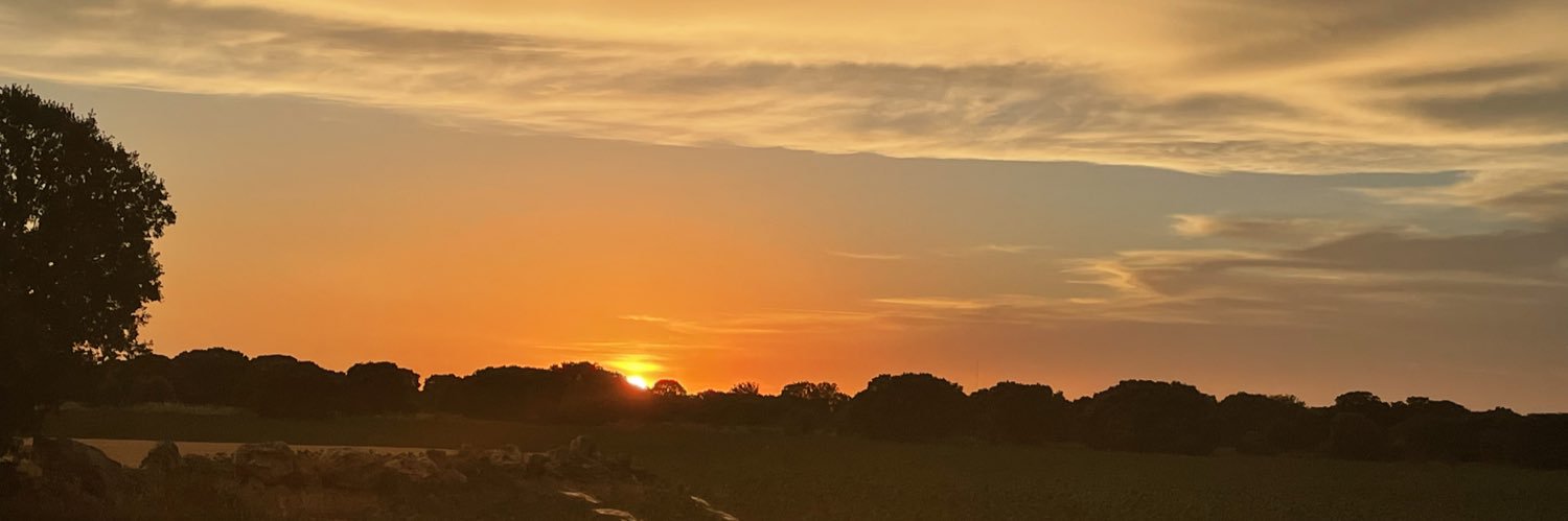 Felisa Martin banner