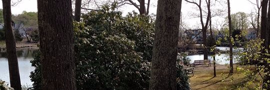 NKFLibrary's profile banner image