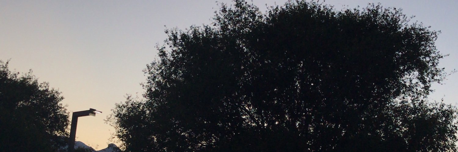 lizzyS_19's profile banner image