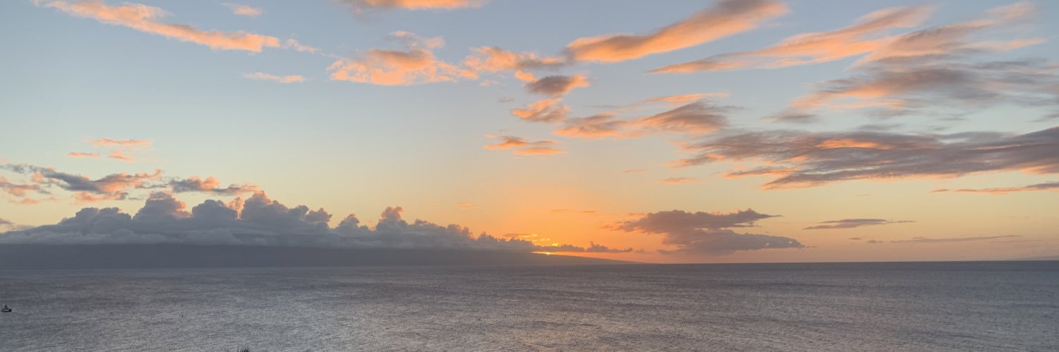 randi_faust's profile banner image