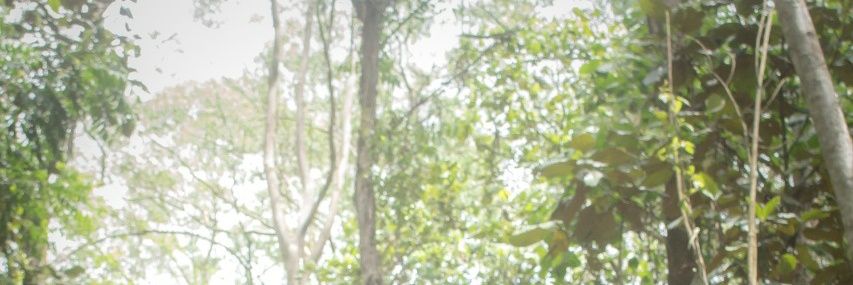 sr_silva2103's profile banner image