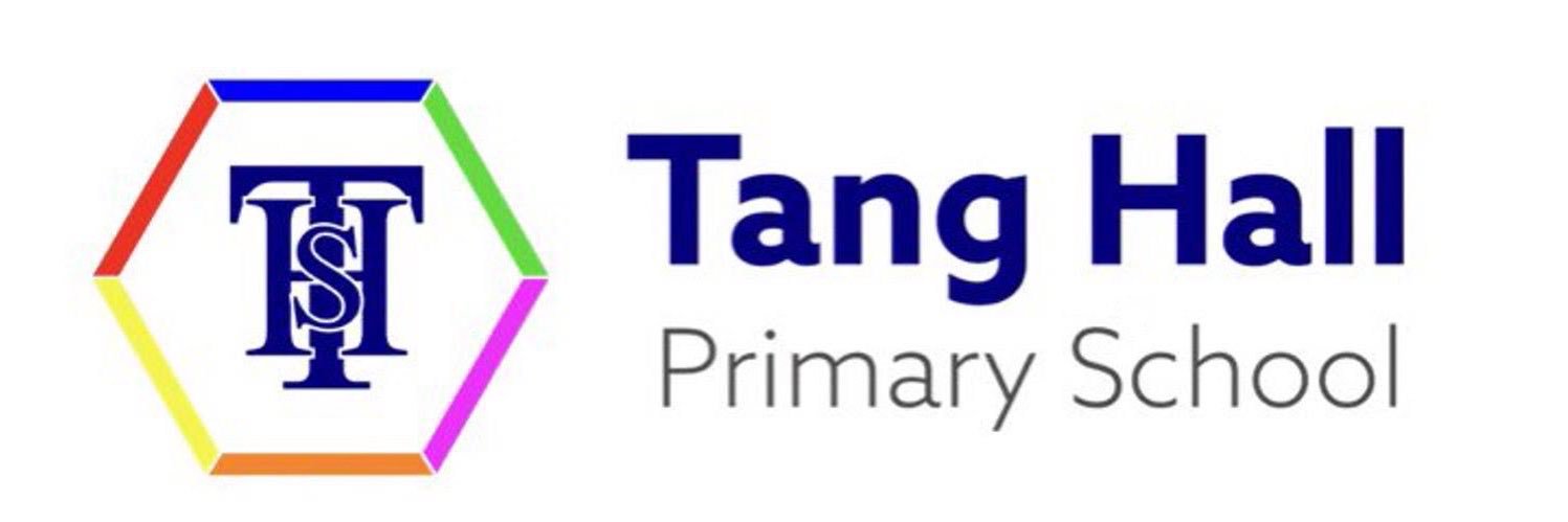 Tang Hall Kingfishers's banner