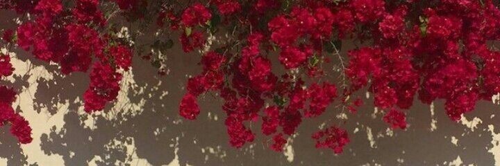 cd9131989's profile banner image