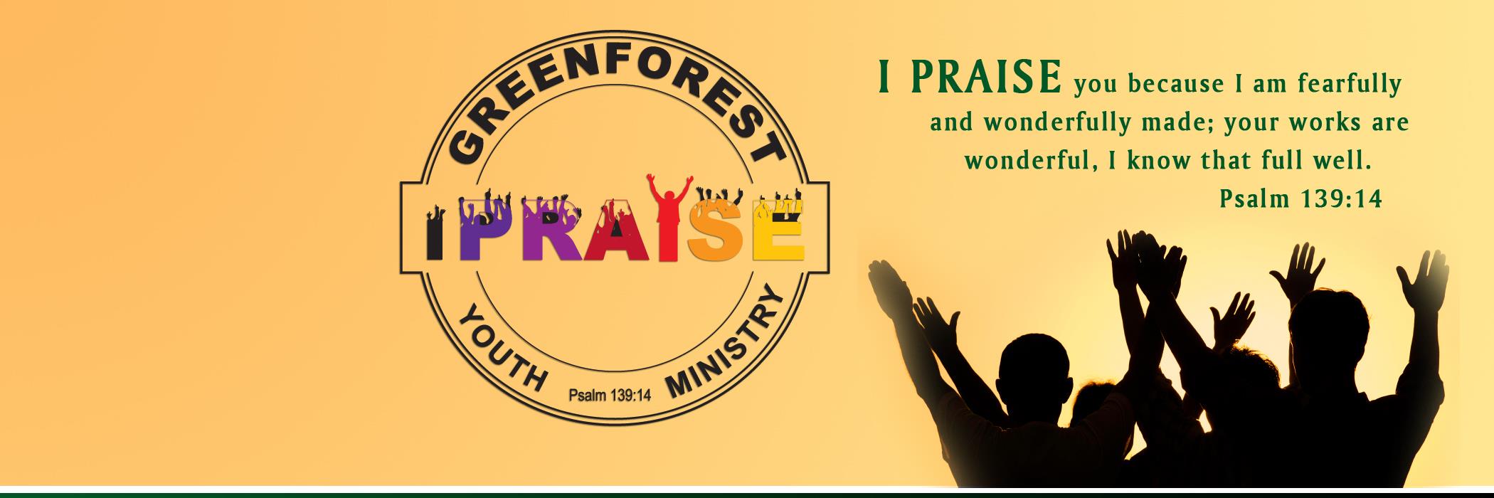 greenforestyout's profile banner image