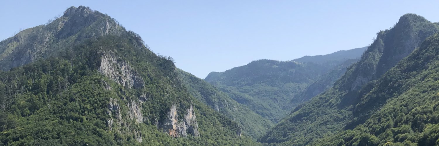 Dasha Nelipovich banner