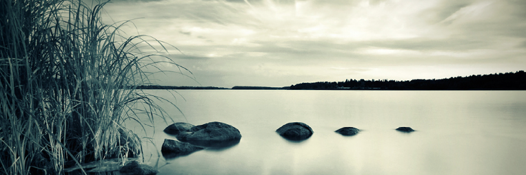 iwataMHC's profile banner image
