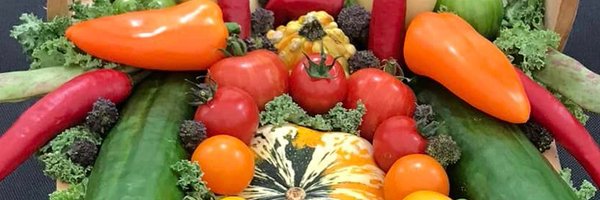 NatVegetableSoc Profile Banner