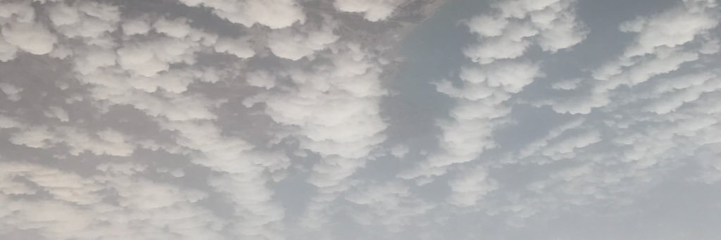 EkLaila's profile banner image