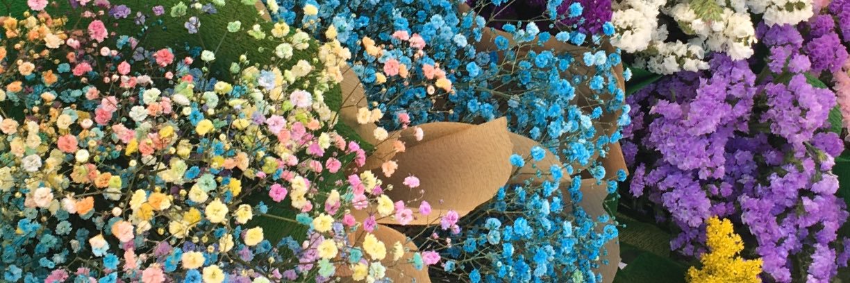 arso___'s profile banner image