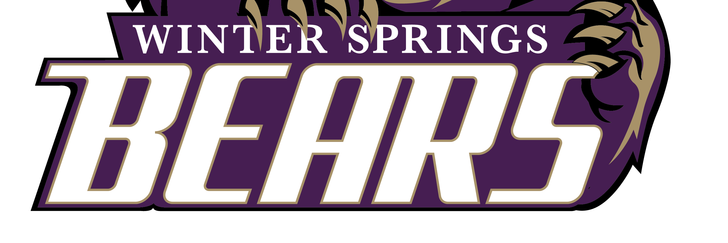 WSHS Lacrosse banner