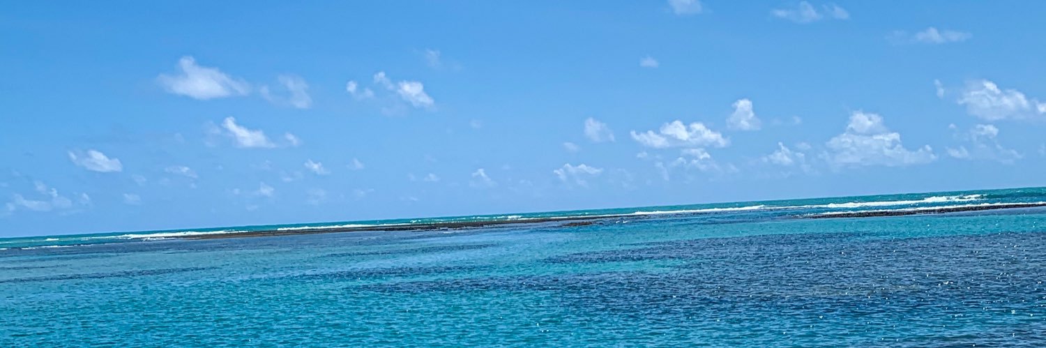 raycarolinee_'s profile banner image