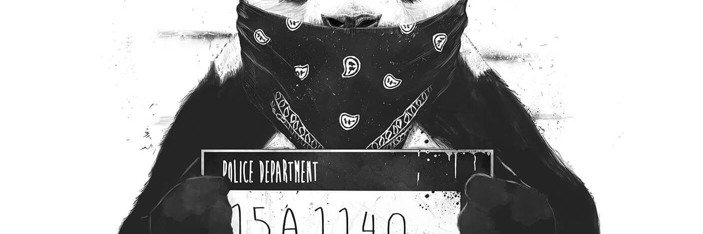 Not_Selknam's profile banner image