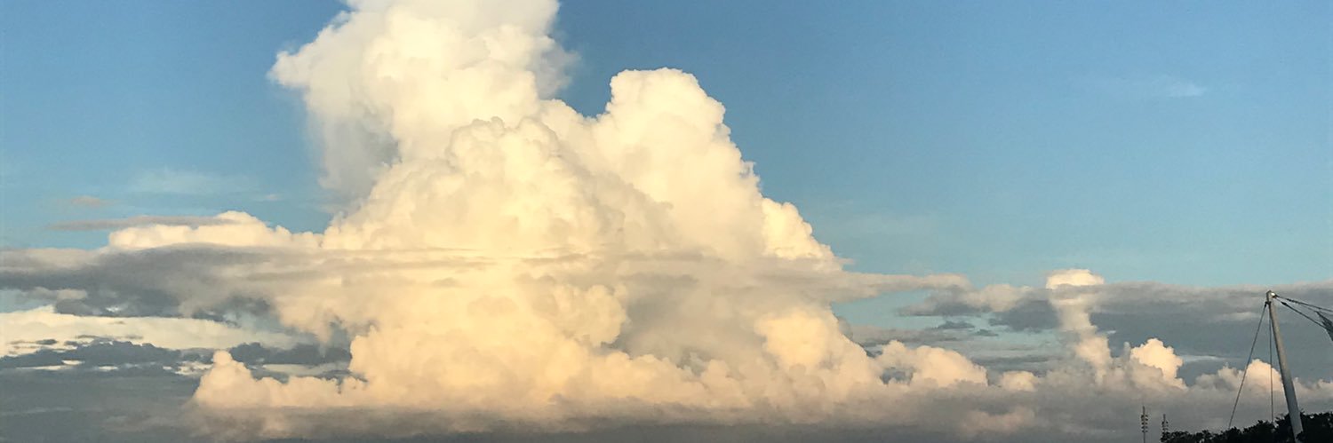 cathyri's profile banner image