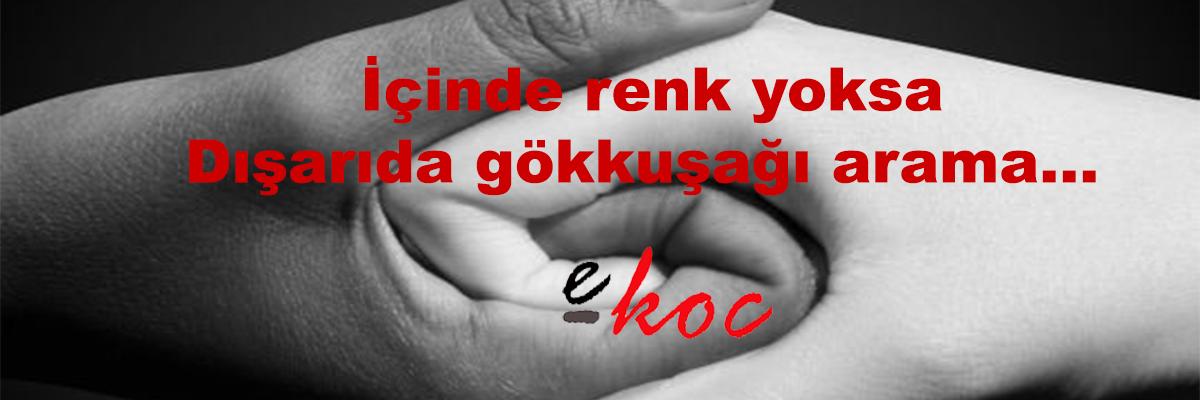 ekochaberler's profile banner image