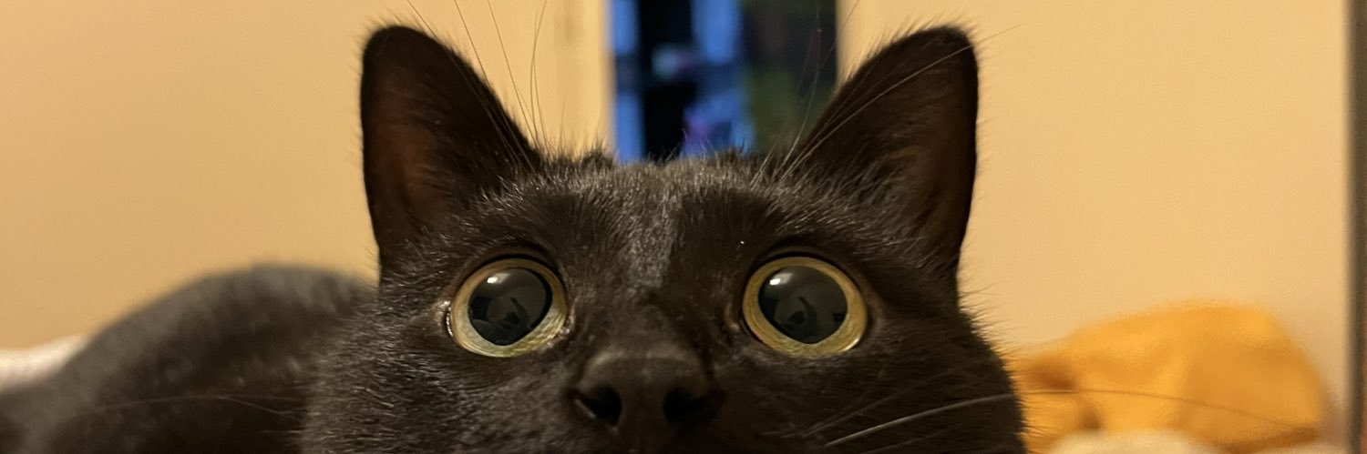 thomas_mgnt's profile banner image