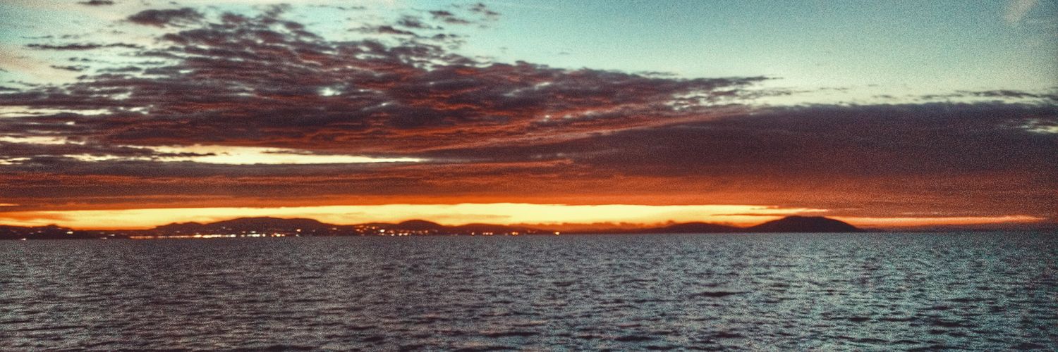 Alelingener's profile banner image