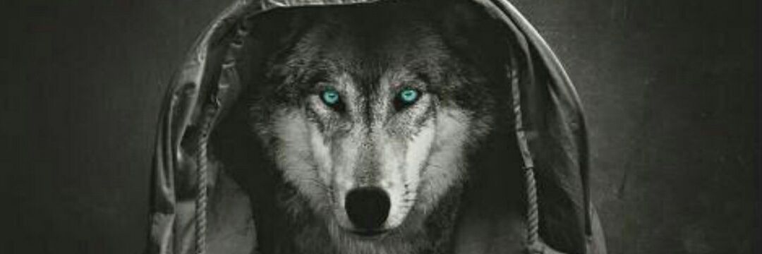 fxfx49's profile banner image