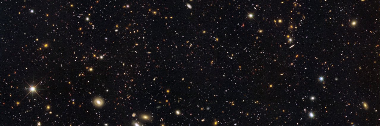 veronicaarene's profile banner image