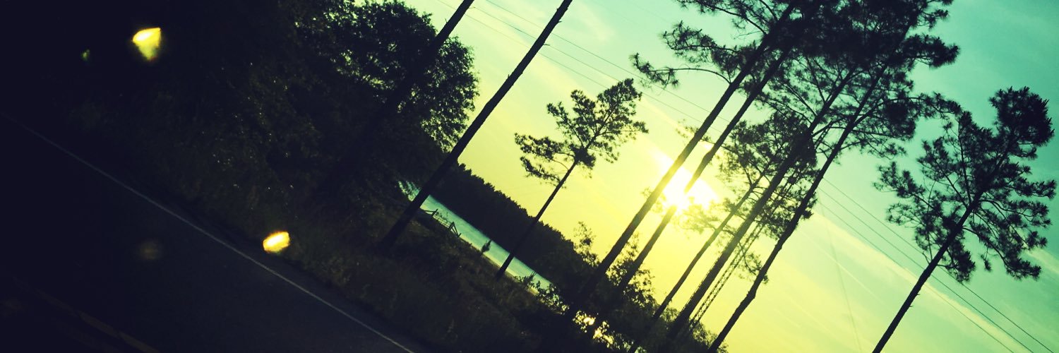 ♡︎SimplyKristina♡ banner