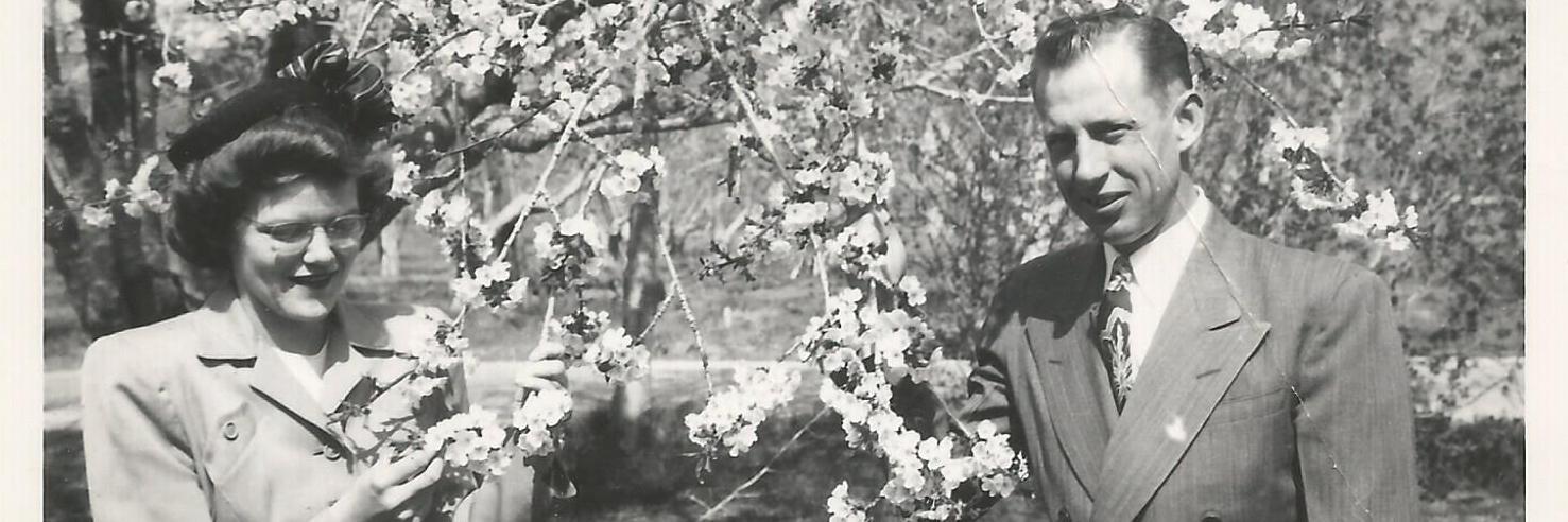 RootwoodCider's profile banner image