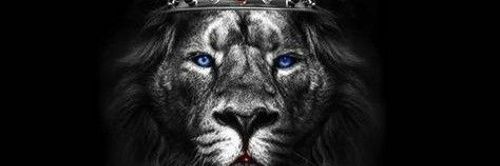 willimeh's profile banner image