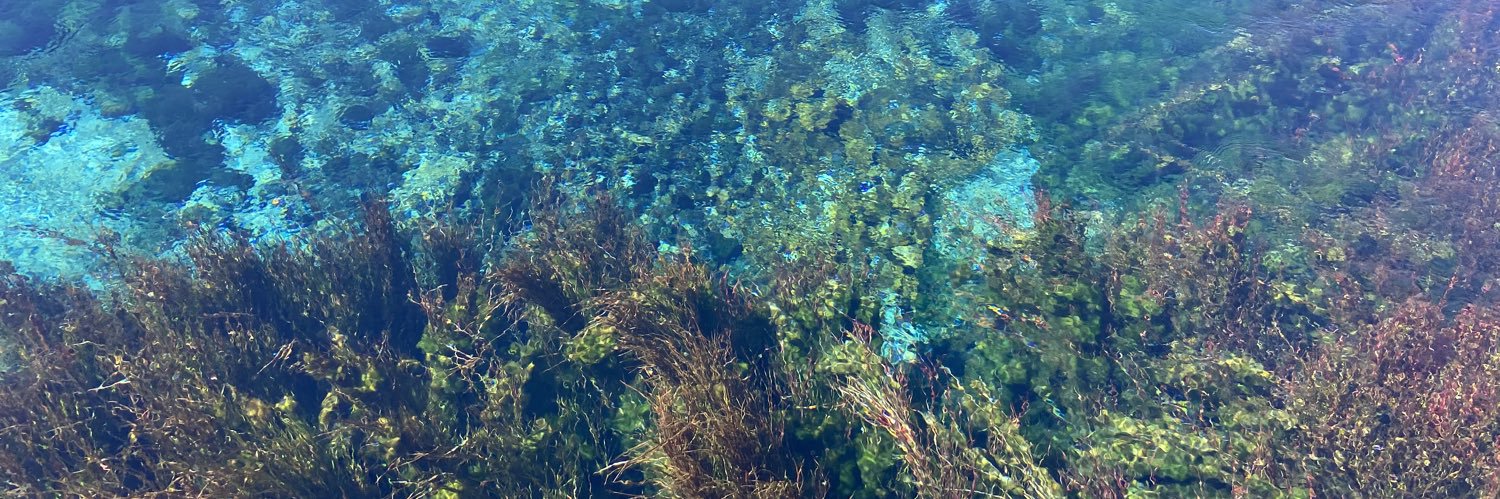 Conway Morris banner